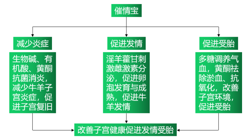 博猫游戏