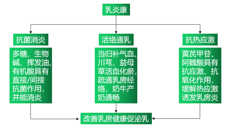 博猫游戏