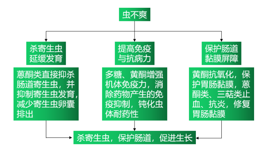 博猫游戏