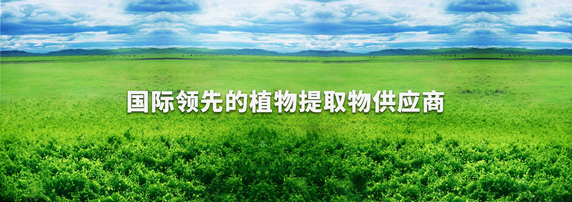 博猫游戏·(中国)官网登录入口