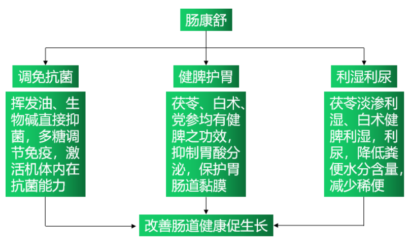 博猫游戏