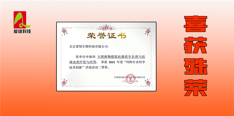 博猫游戏