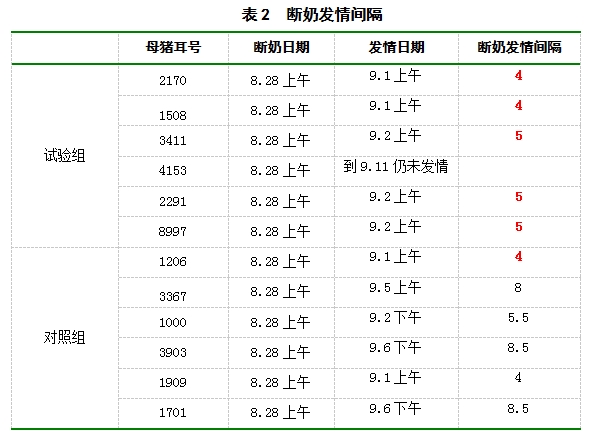 博猫游戏