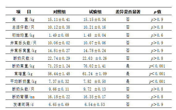 博猫游戏