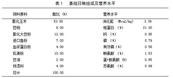 博猫游戏