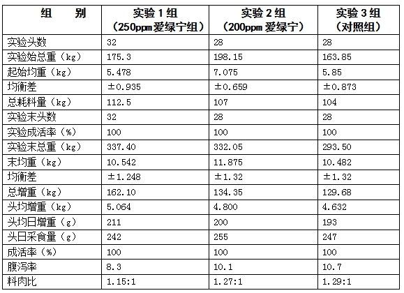 博猫游戏