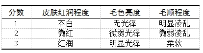 博猫游戏