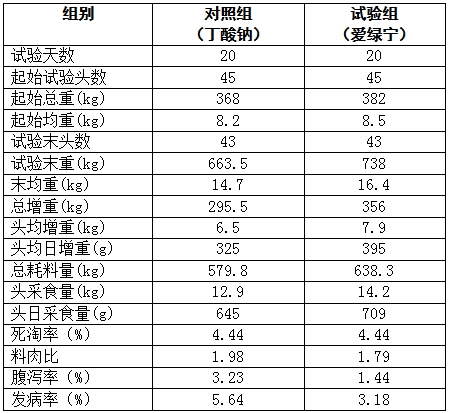 博猫游戏