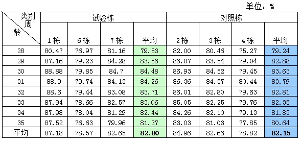 博猫游戏