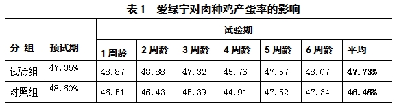 博猫游戏
