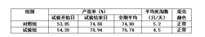 博猫游戏