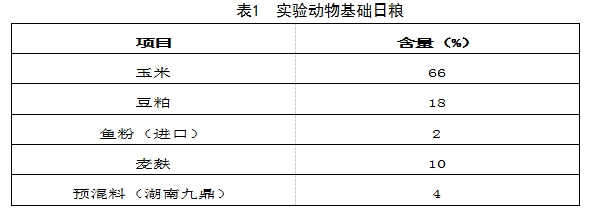 博猫游戏