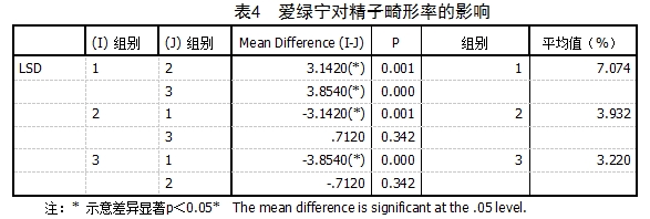 博猫游戏