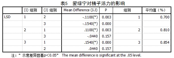 博猫游戏