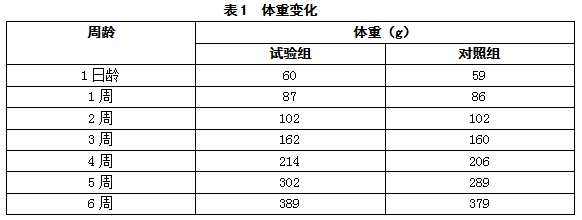 博猫游戏