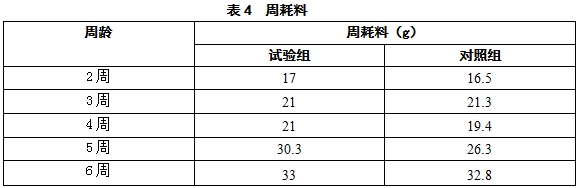 博猫游戏