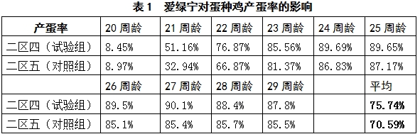 博猫游戏