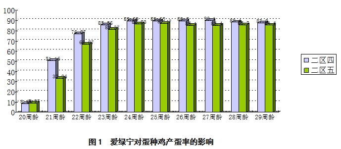 博猫游戏
