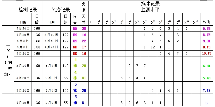 博猫游戏