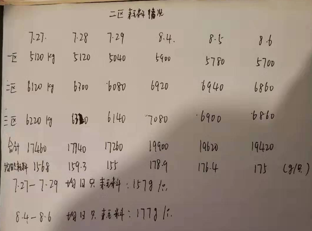 博猫游戏