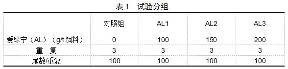 博猫游戏