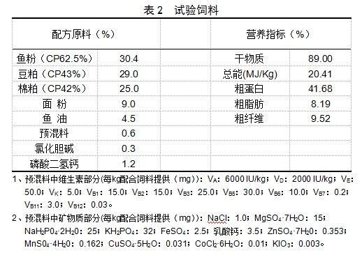 博猫游戏