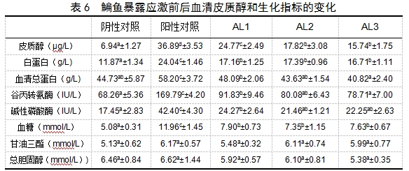 博猫游戏