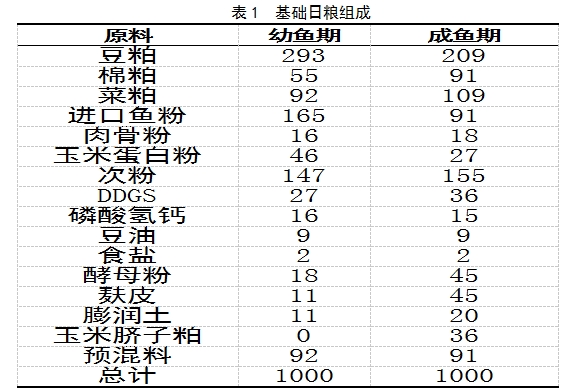 博猫游戏