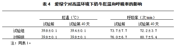 博猫游戏