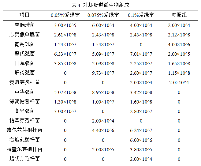 博猫游戏