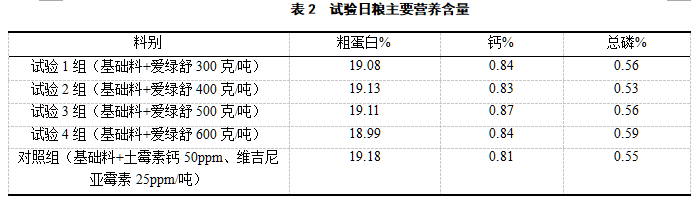 博猫游戏