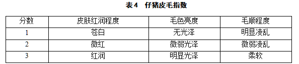 博猫游戏