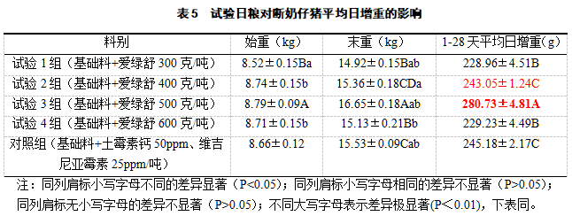 博猫游戏