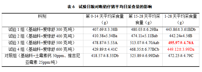 博猫游戏
