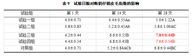 博猫游戏