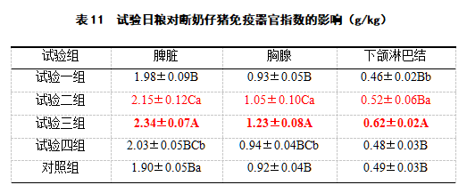 博猫游戏