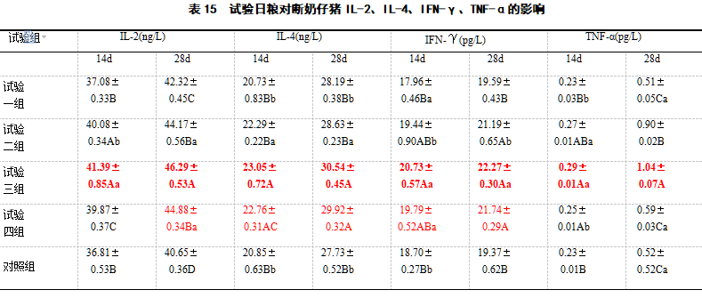 博猫游戏