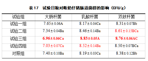 博猫游戏
