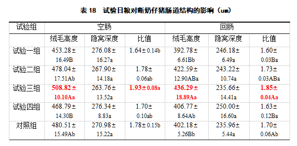 博猫游戏