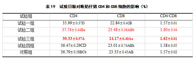 博猫游戏