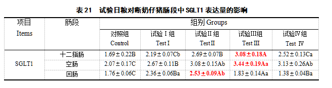 博猫游戏
