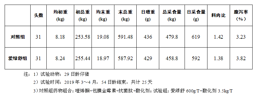 博猫游戏