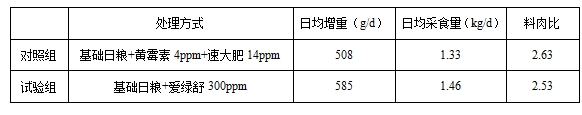 博猫游戏