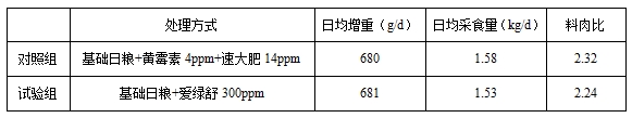 博猫游戏