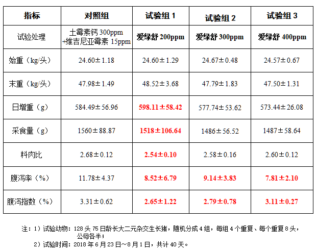 博猫游戏