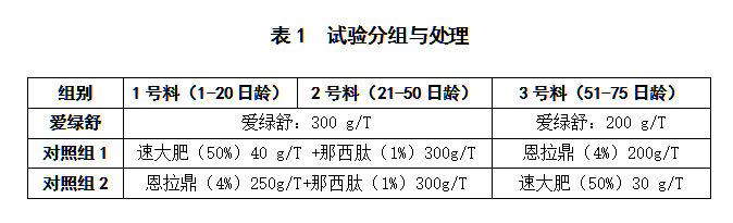 博猫游戏