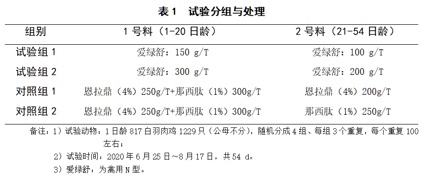 博猫游戏