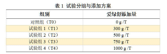 博猫游戏