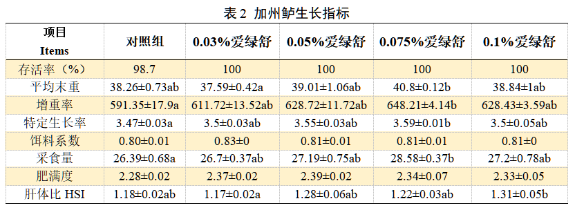 博猫游戏