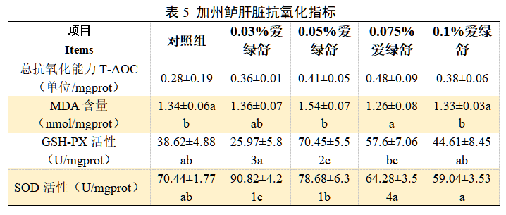 博猫游戏